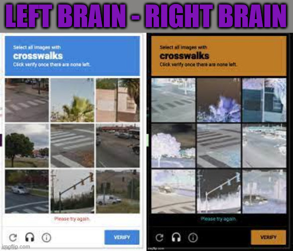 It's not just black & white | LEFT BRAIN - RIGHT BRAIN | image tagged in brain,bot,borg,billionares,woke bot,musk | made w/ Imgflip meme maker