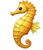 seahorse emoji Blank Meme Template