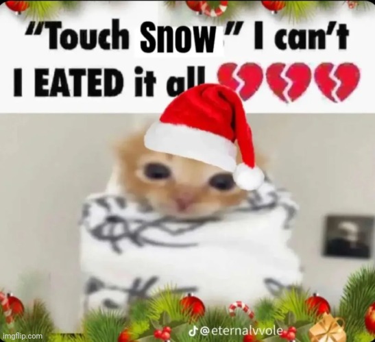 ? | image tagged in cat,touch snow,memes | made w/ Imgflip meme maker