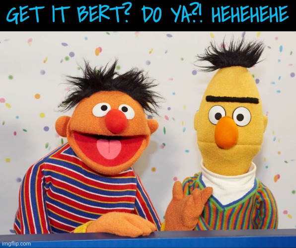 Lol seriously | GET IT BERT? DO YA?! HEHEHEHE | image tagged in lol seriously | made w/ Imgflip meme maker