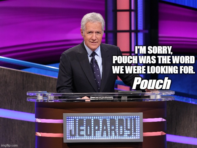 I'M SORRY, POUCH WAS THE WORD WE WERE LOOKING FOR. Pouch | made w/ Imgflip meme maker