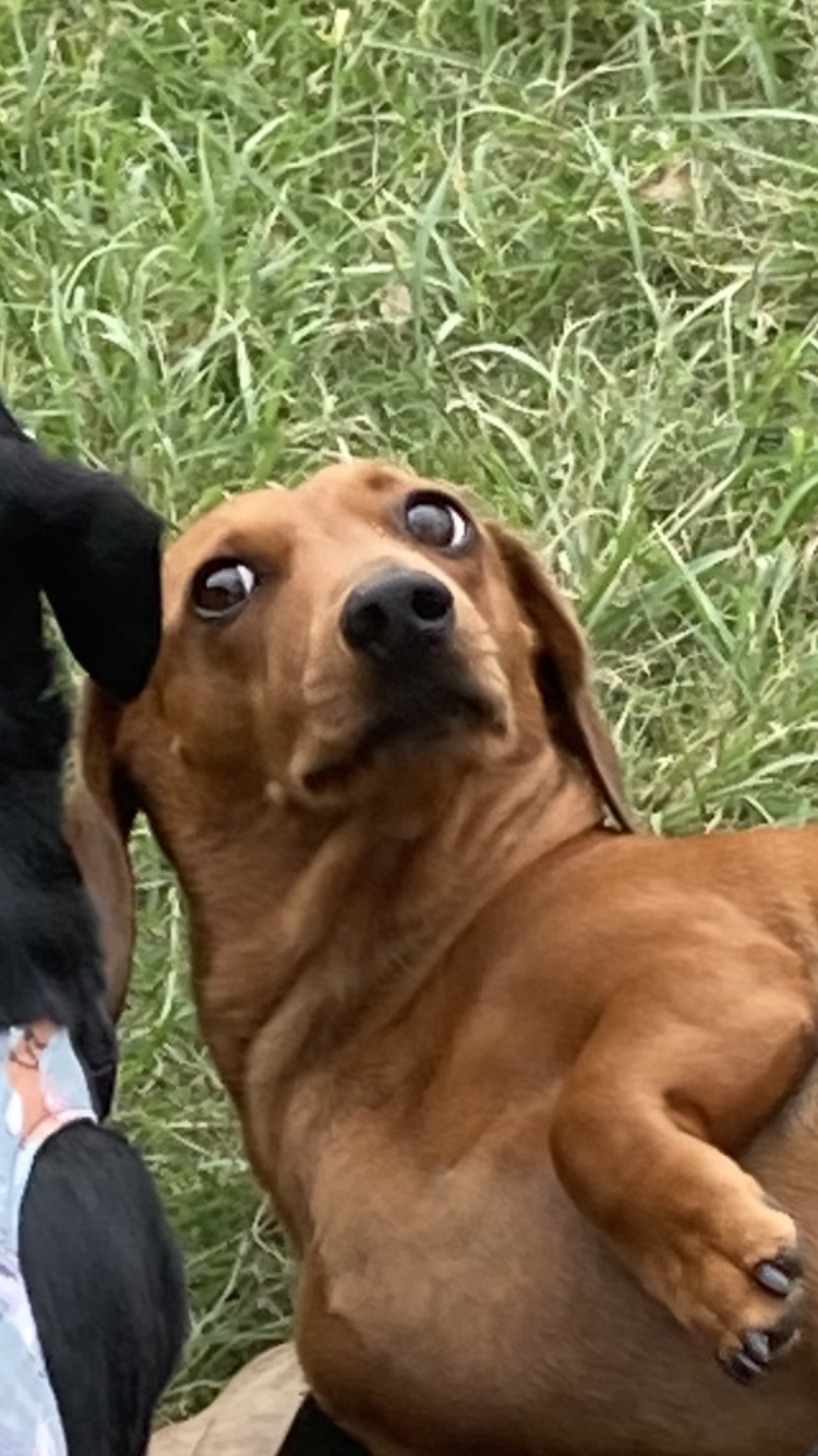 Who you lookin’ at? Blank Meme Template