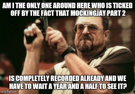 Why can't we see it now? | AM I THE ONLY ONE AROUND HERE WHO IS TICKED OFF BY THE FACT THAT MOCKINGJAY PART 2 IS COMPLETELY RECORDED ALREADY AND WE HAVE TO WAIT A YEAR | image tagged in memes,am i the only one around here | made w/ Imgflip meme maker