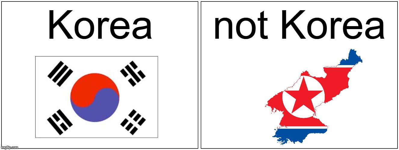 North "Korea"? more like not Korea | Korea; not Korea | image tagged in memes,blank comic panel 2x1 | made w/ Imgflip meme maker