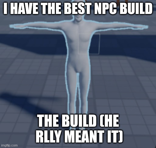 very real | I HAVE THE BEST NPC BUILD; THE BUILD (HE  RLLY MEANT IT) | image tagged in funny | made w/ Imgflip meme maker