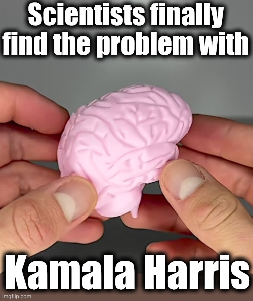 It's tiny and it's fake | Scientists finally
find the problem with; Kamala Harris | image tagged in memes,kamala harris,brain,tiny,fake,democrats | made w/ Imgflip meme maker