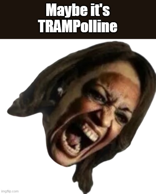 Maybe it's
TRAMPolline | made w/ Imgflip meme maker