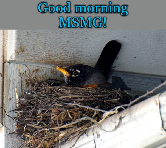 good morning! | Good morning
MSMG! | image tagged in good morning,kewlew | made w/ Imgflip meme maker