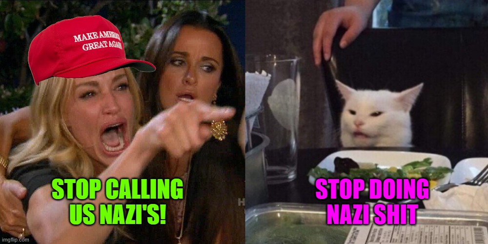 This new generation of Nazis has no Rizz | STOP CALLING US NAZI'S! STOP DOING NAZI SHIT | image tagged in woman yelling at cat,republicans,maga,nazis | made w/ Imgflip meme maker
