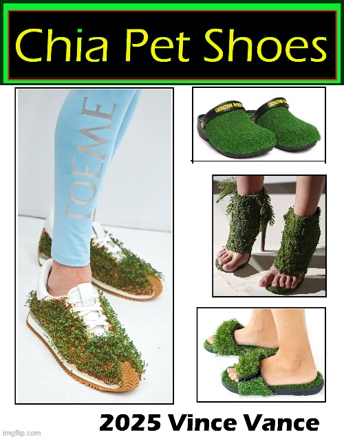 Don't let the grass grow under your feet. Let it grow all over them | image tagged in vince vance,shoes,chia pets,grass,slippers,memes | made w/ Imgflip meme maker