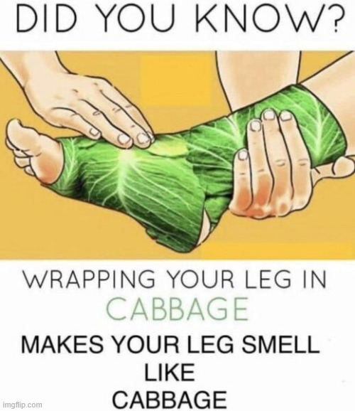 Did you know | image tagged in random,shit,cabbage,did you know | made w/ Imgflip meme maker