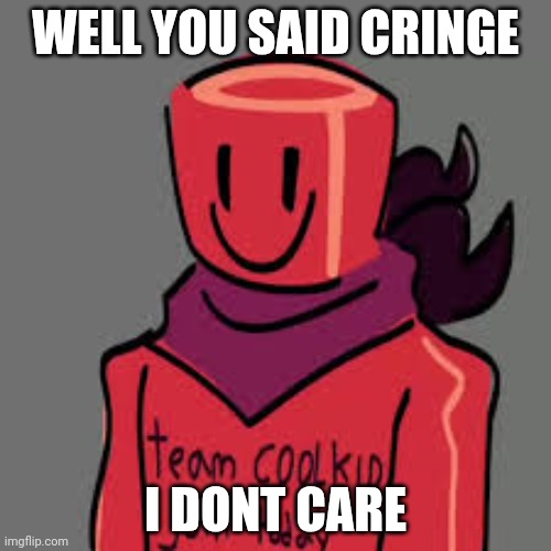 C00lkid | WELL YOU SAID CRINGE; I DONT CARE | image tagged in c00lkido,memes | made w/ Imgflip meme maker