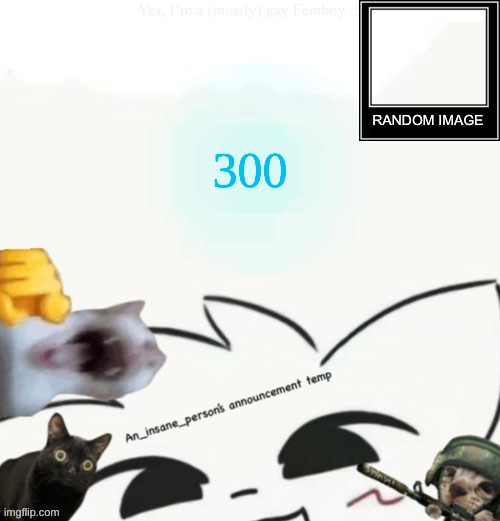 My lil announcement | 300 | image tagged in my lil announcement | made w/ Imgflip meme maker