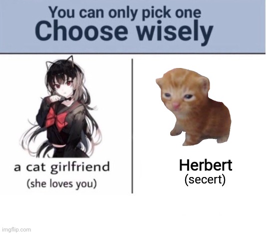 Choose wisely | Herbert; (secert) | image tagged in choose wisely | made w/ Imgflip meme maker