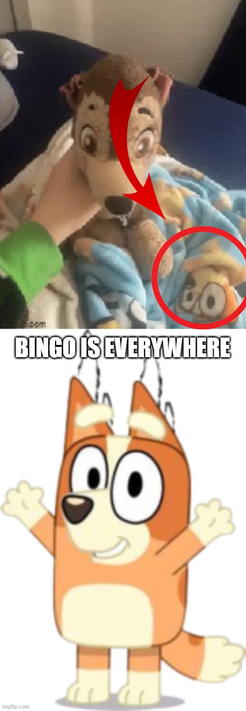 saw a paw patrol gif and found this | BINGO IS EVERYWHERE | made w/ Imgflip meme maker