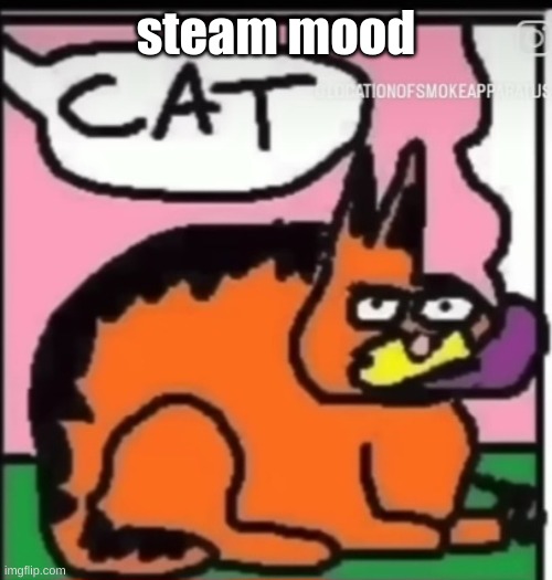 CAT | steam mood | image tagged in cat | made w/ Imgflip meme maker