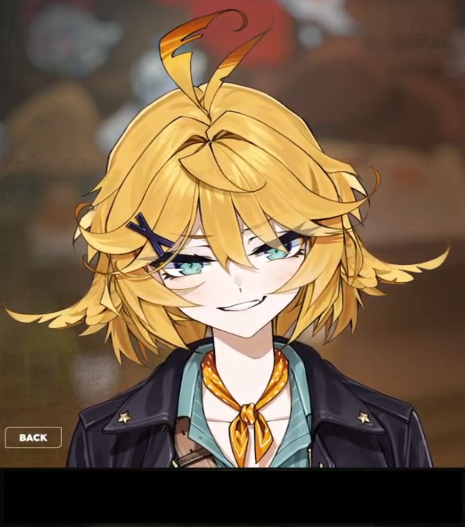 Smug Dokibird Blank Meme Template