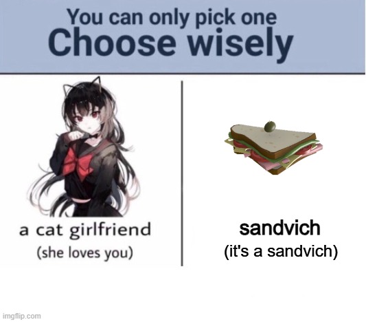 Choose wisely | sandvich; (it's a sandvich) | image tagged in choose wisely | made w/ Imgflip meme maker