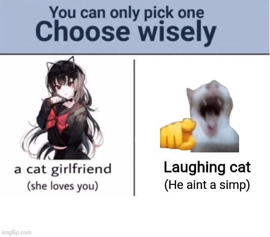 Choose wisely | Laughing cat; (He aint a simp) | image tagged in choose wisely | made w/ Imgflip meme maker