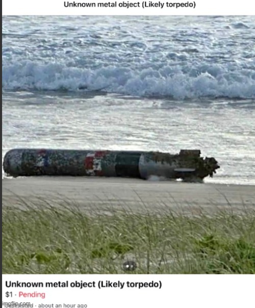 torpedo | image tagged in torpedo | made w/ Imgflip meme maker