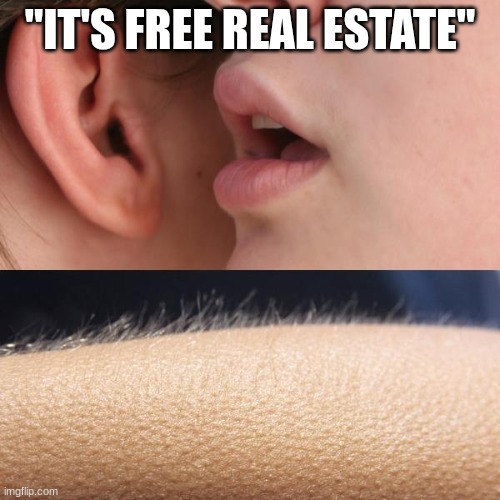 Whisper and Goosebumps | "IT'S FREE REAL ESTATE" | image tagged in whisper and goosebumps | made w/ Imgflip meme maker