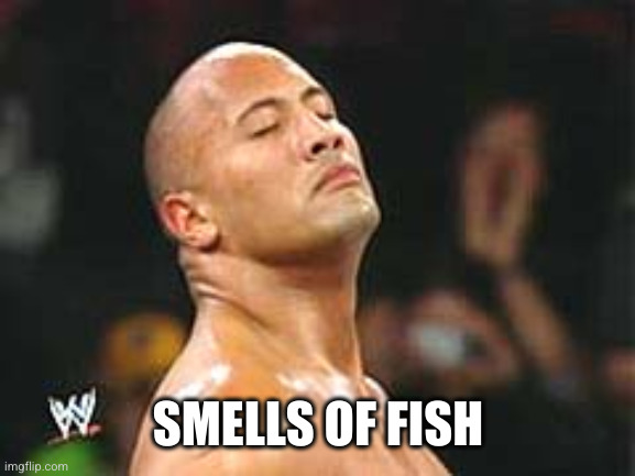 The Rock Smelling | SMELLS OF FISH | image tagged in the rock smelling | made w/ Imgflip meme maker