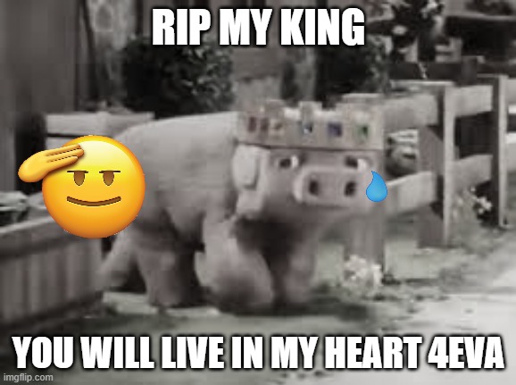 Rip Technoblade | RIP MY KING; YOU WILL LIVE IN MY HEART 4EVA | image tagged in rip,sad,technoblade | made w/ Imgflip meme maker