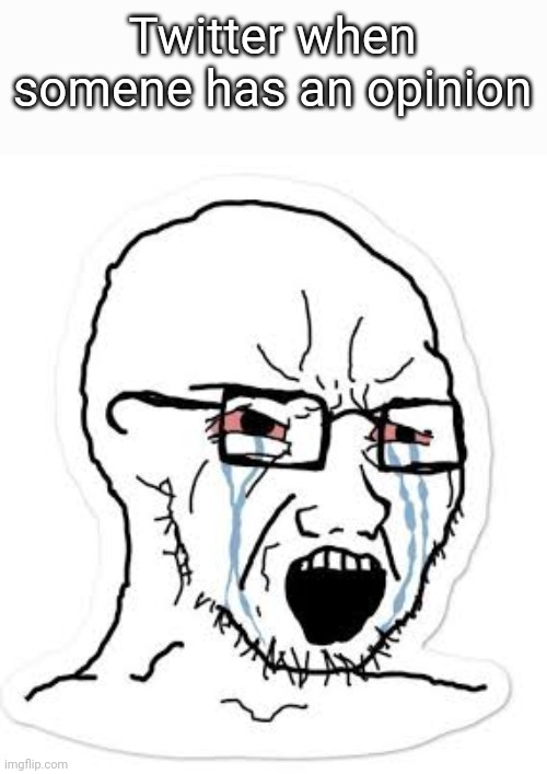Soy boy cry | Twitter when somene has an opinion | image tagged in soy boy cry | made w/ Imgflip meme maker