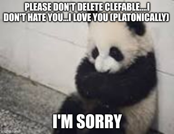 sad panda | PLEASE DON'T DELETE CLEFABLE....I DON'T HATE YOU...I LOVE YOU (PLATONICALLY); I'M SORRY | image tagged in sad panda | made w/ Imgflip meme maker