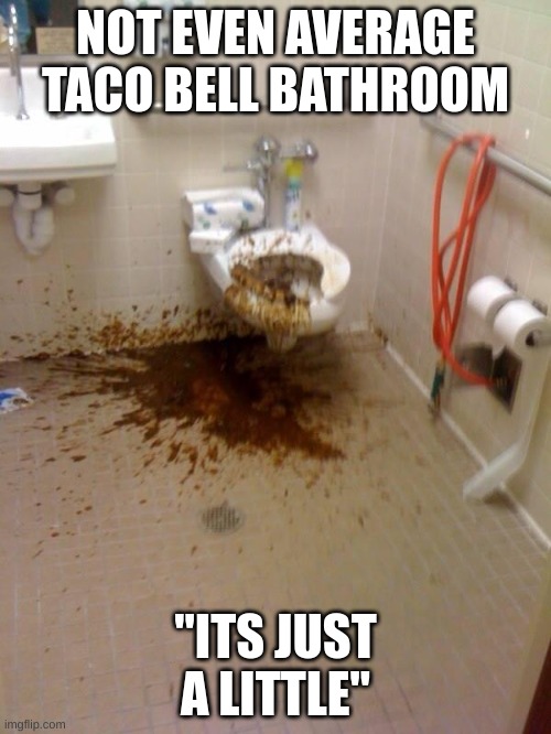 Girls poop too | NOT EVEN AVERAGE TACO BELL BATHROOM; "ITS JUST A LITTLE" | image tagged in girls poop too | made w/ Imgflip meme maker