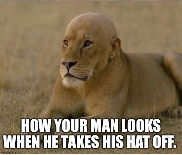Balding | HOW YOUR MAN LOOKS WHEN HE TAKES HIS HAT OFF. | image tagged in baldness,old,hairstyle,bald indian guy,old people,funny memes | made w/ Imgflip meme maker