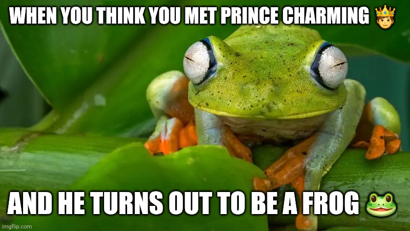 Prince Charming | WHEN YOU THINK YOU MET PRINCE CHARMING 🤴; AND HE TURNS OUT TO BE A FROG 🐸 | image tagged in funny | made w/ Imgflip meme maker