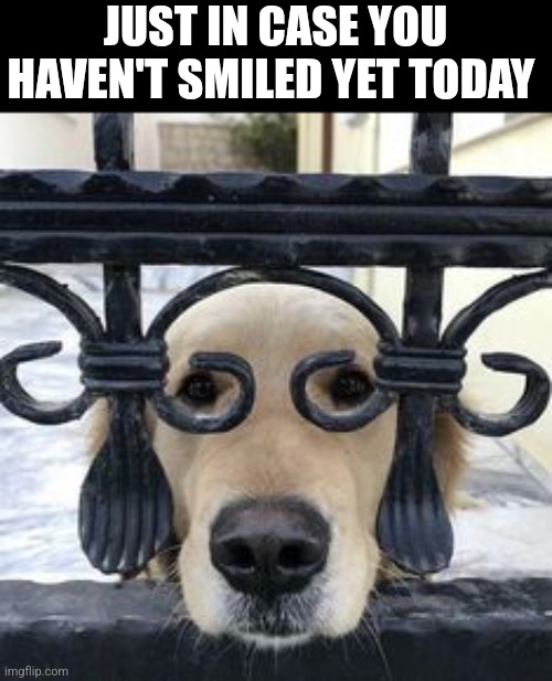 Just In Case You Haven't Smiled Yet Today | JUST IN CASE YOU HAVEN'T SMILED YET TODAY | image tagged in chrisjoines1 | made w/ Imgflip meme maker