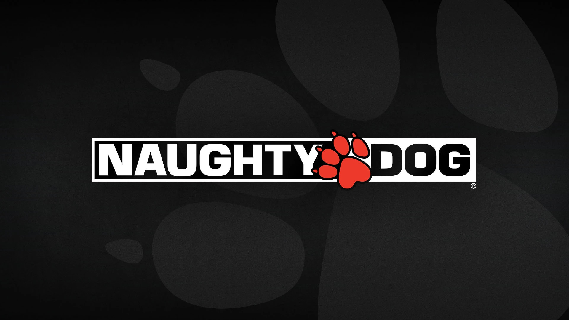 naughty dog Blank Meme Template