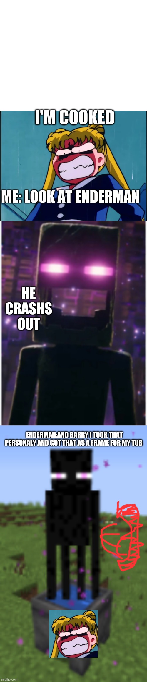 cooked meat | I'M COOKED; ME: LOOK AT ENDERMAN; HE CRASHS OUT; ENDERMAN:AND BARRY I TOOK THAT PERSONALY AND GOT THAT AS A FRAME FOR MY TUB | image tagged in cikm34,enderman,bath | made w/ Imgflip meme maker