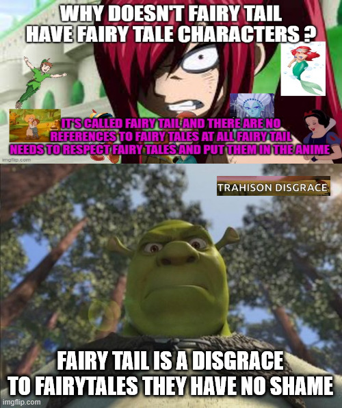 shrek and erza angry at fairy tail | FAIRY TAIL IS A DISGRACE TO FAIRYTALES THEY HAVE NO SHAME | image tagged in swampy angry shrek,disgrace,fairy tail,fairy tales,anime,erza angry | made w/ Imgflip meme maker
