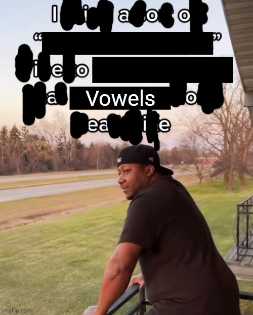 I Bring a Sort of X Vibe to the Y | Vowels | image tagged in i bring a sort of x vibe to the y | made w/ Imgflip meme maker