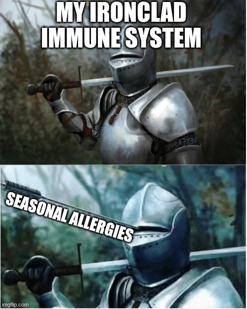 Knight with arrow in helmet | MY IRONCLAD IMMUNE SYSTEM; SEASONAL ALLERGIES | image tagged in knight with arrow in helmet | made w/ Imgflip meme maker