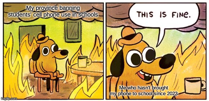 I'm not upset. I'm happy that they should be free from distractions! | My province banning students' cell phone use in schools; Me who hasn't brought my phone to school since 2023 | image tagged in memes,this is fine,school,ban,phone ban | made w/ Imgflip meme maker