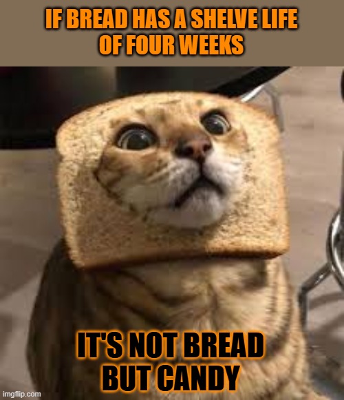 This #lolcat wonders if bread can have a shelve life of four weeks | IF BREAD HAS A SHELVE LIFE
OF FOUR WEEKS; IT'S NOT BREAD
BUT CANDY | image tagged in addiction,bread,lolcat,candy | made w/ Imgflip meme maker