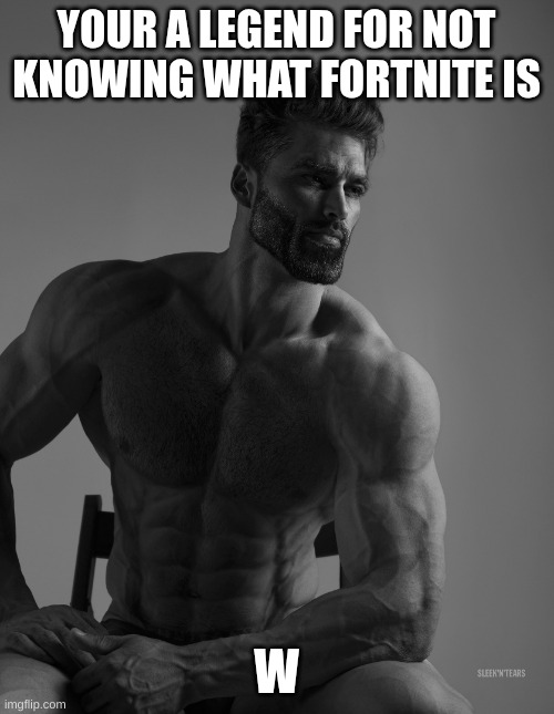 YOUR A LEGEND FOR NOT KNOWING WHAT FORTNITE IS W | image tagged in giga chad | made w/ Imgflip meme maker