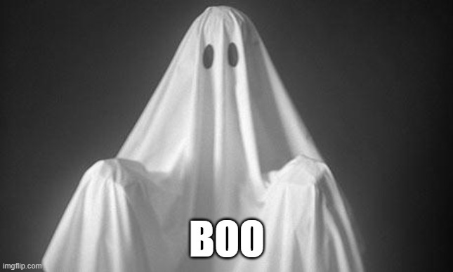 BOO | BOO | image tagged in ghost | made w/ Imgflip meme maker