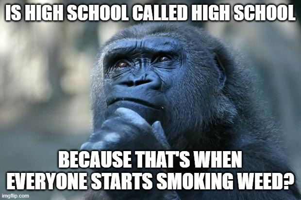 hmmmm | IS HIGH SCHOOL CALLED HIGH SCHOOL; BECAUSE THAT'S WHEN EVERYONE STARTS SMOKING WEED? | image tagged in deep thoughts | made w/ Imgflip meme maker