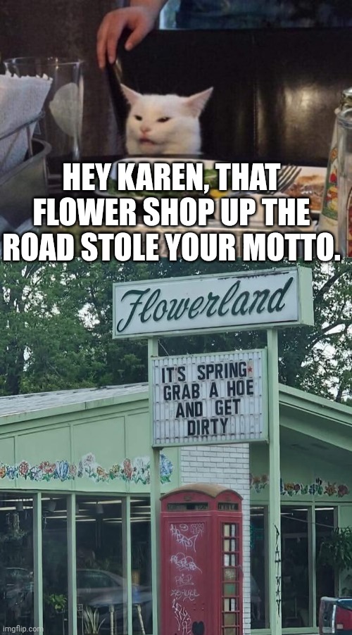 HEY KAREN, THAT FLOWER SHOP UP THE ROAD STOLE YOUR MOTTO. | image tagged in smudge that darn cat | made w/ Imgflip meme maker