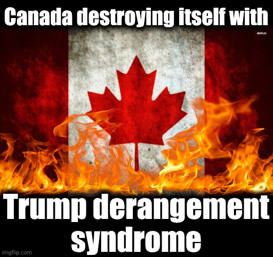 Have fun with your newly-elected insane libs! | Canada destroying itself with; Trump derangement
syndrome | image tagged in canada flag,trump derangement syndrome,canada,mark carney,libs,insanity | made w/ Imgflip meme maker