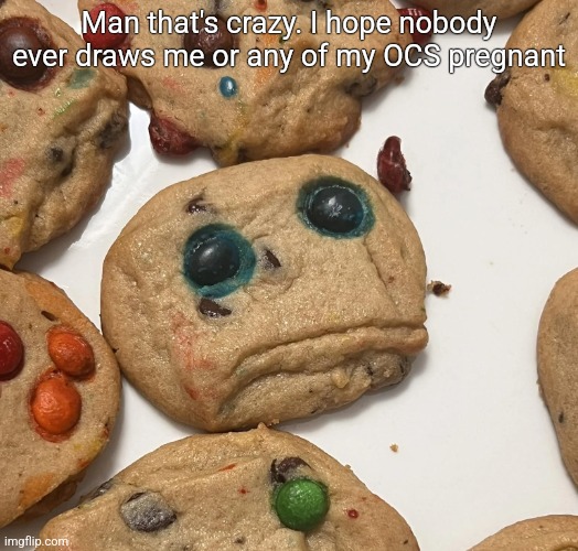 Sad cookie | Man that's crazy. I hope nobody ever draws me or any of my OCS pregnant | image tagged in sad cookie | made w/ Imgflip meme maker