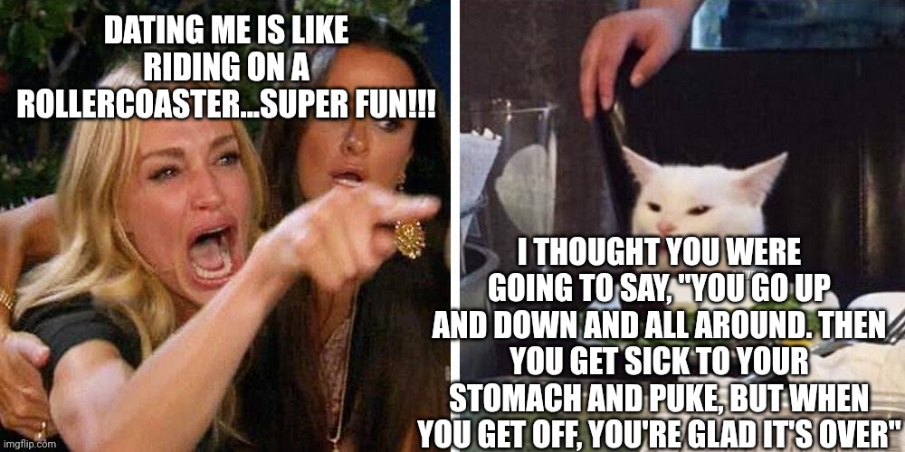 Smudge that darn cat with Karen | DATING ME IS LIKE RIDING ON A ROLLERCOASTER...SUPER FUN!!! I THOUGHT YOU WERE GOING TO SAY, "YOU GO UP AND DOWN AND ALL AROUND. THEN YOU GET SICK TO YOUR STOMACH AND PUKE, BUT WHEN YOU GET OFF, YOU'RE GLAD IT'S OVER" | image tagged in smudge that darn cat with karen | made w/ Imgflip meme maker