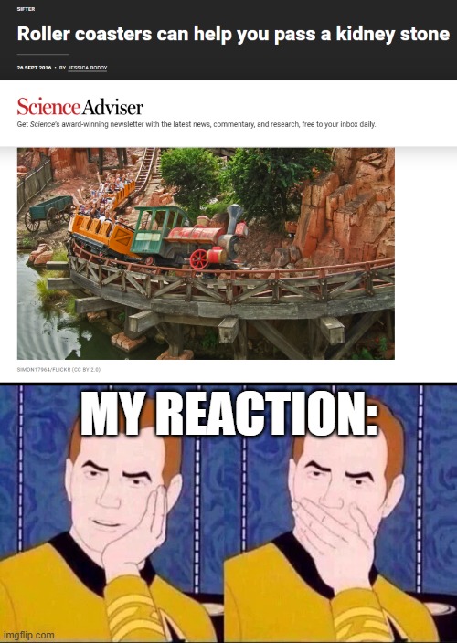 The more you know guys | MY REACTION: | image tagged in fake surprised,kidney stones,roller coaster | made w/ Imgflip meme maker