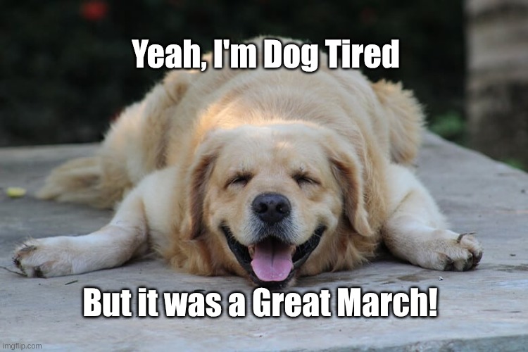 Dog Tired after Marching | Yeah, I'm Dog Tired; But it was a Great March! | image tagged in dog tired,tired after marching | made w/ Imgflip meme maker