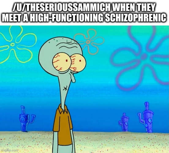 Scared Squidward | /U/THESERIOUSSAMMICH WHEN THEY MEET A HIGH-FUNCTIONING SCHIZOPHRENIC | image tagged in scared squidward | made w/ Imgflip meme maker